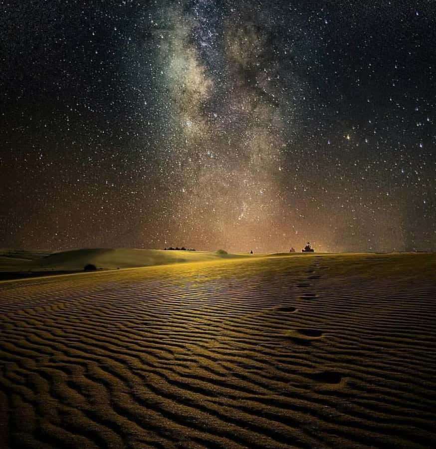 Doha: Night Safari with Dune Bashing and Camel Ride - The camel ride gives the evening a slower pace