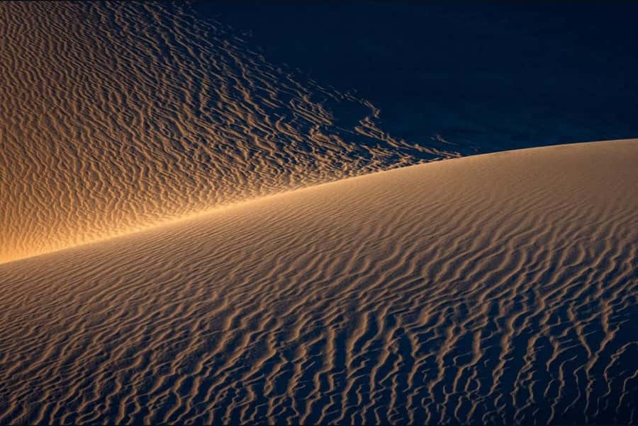 Doha: Nighttime Desert Safari with Dune Bashing & Camel Ride - Khor Al Udaid and the Inland Sea
