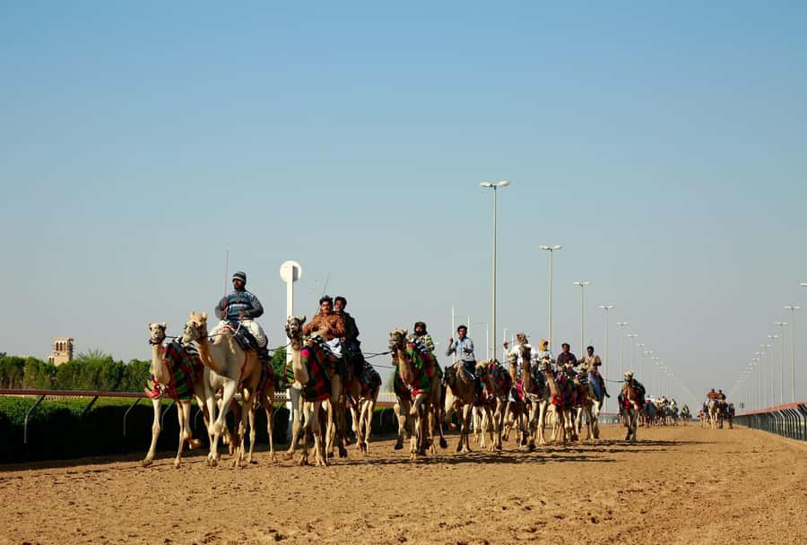 Doha: North and West of Qatar Private Combo Tour - How the private format affects value