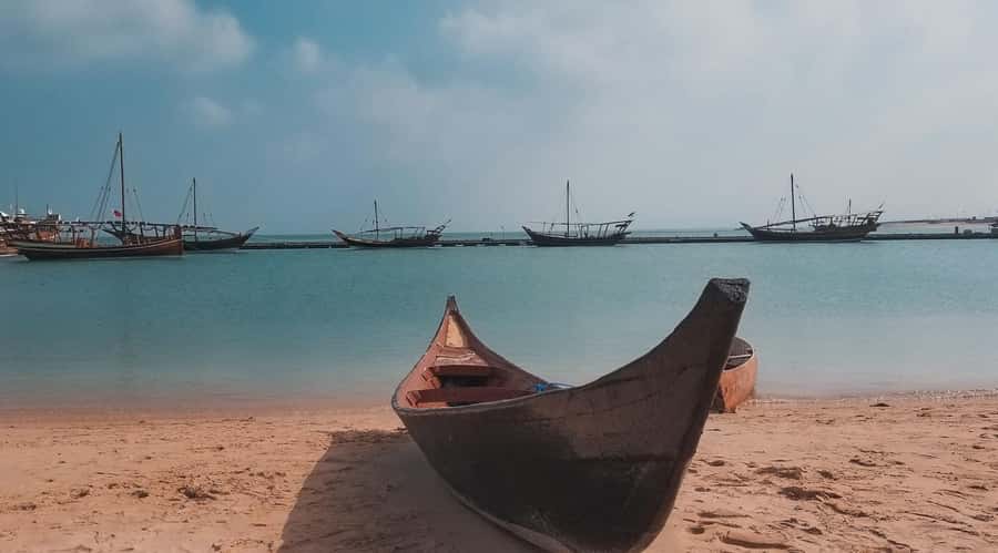 Doha: North and West of Qatar Private Combo Tour - Purple Island and its mangrove forest