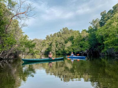 North Qatar Tour, Mangroves, & Zubara Fort and purple
