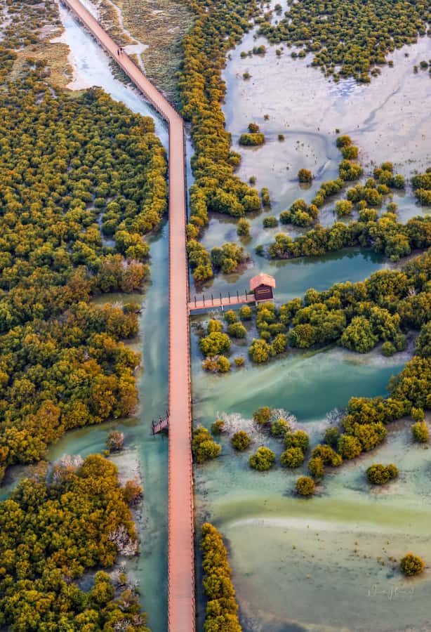 Doha North Qatar Tour Zubara Fort, Mangroves, Jumail Village - Why northern Qatar is worth your time