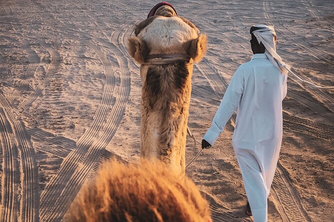 Doha Overnight Desert Safari dinner/breakfast included - A camel ride slows the pace