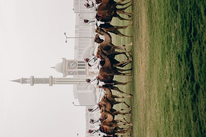 Doha Private City Tour - Who gets the best value from the $69 price