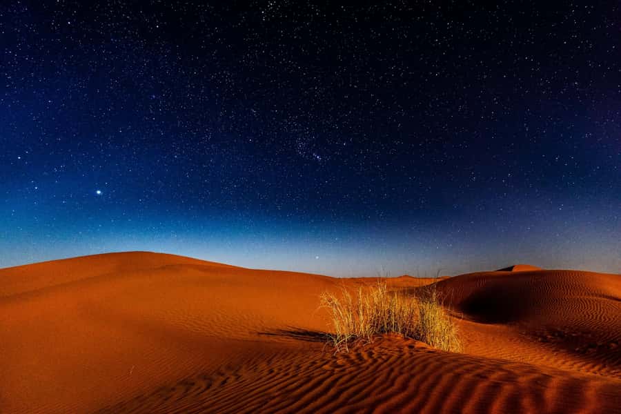 Doha: Private Desert Safari at Night with Stargazing - Why the night makes this Qatar safari different
