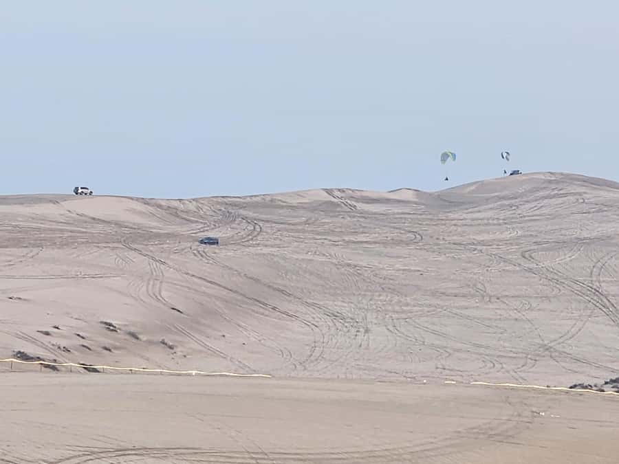 Doha:Private Desert Safari, Falcon, Sandboarding,inland sea - The falcon photo stop