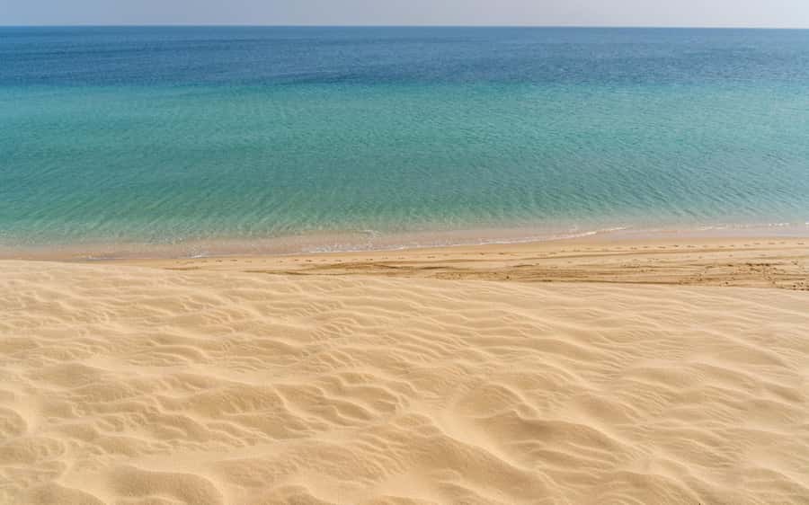 Doha Private Desert Safari, inland sea, sand boarding - Key points to know before you book