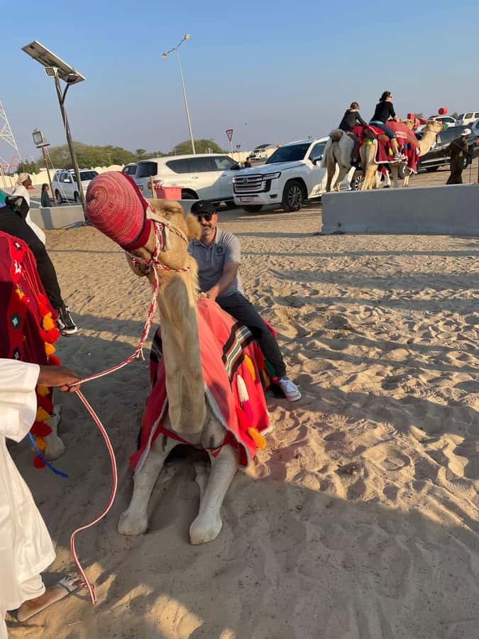Doha Private Desert Safari, inland sea, sand boarding - Dune bashing with a private guide