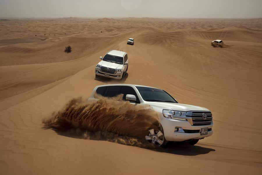 Doha : Private Desert Safari With Camel Ride & Sand Boarding - Who should book this desert safari