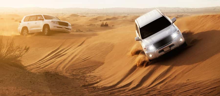 Doha : Private Desert Safari With Camel Ride & Sand Boarding - Dune bashing across Qatar’s golden sand