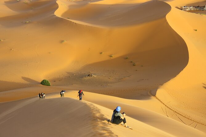 Doha Private Half-Day Guided Desert Safari Tour - Dune driving that puts the 4x4 to work