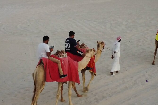 Doha-Private half day safari Sunrise/Sunset - Sunrise or sunset: choosing the better departure