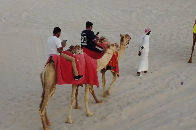 Doha-Private Half Day Safari with Horse Ride/Camel Ride/sandboard - Why the horse ride changes the usual Doha safari