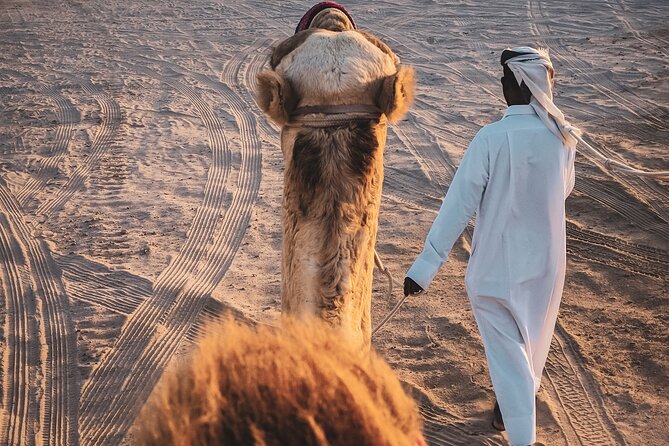 Doha-Private Half Day Safari with Horse Ride/Camel Ride/sandboard - Who should book this desert safari?