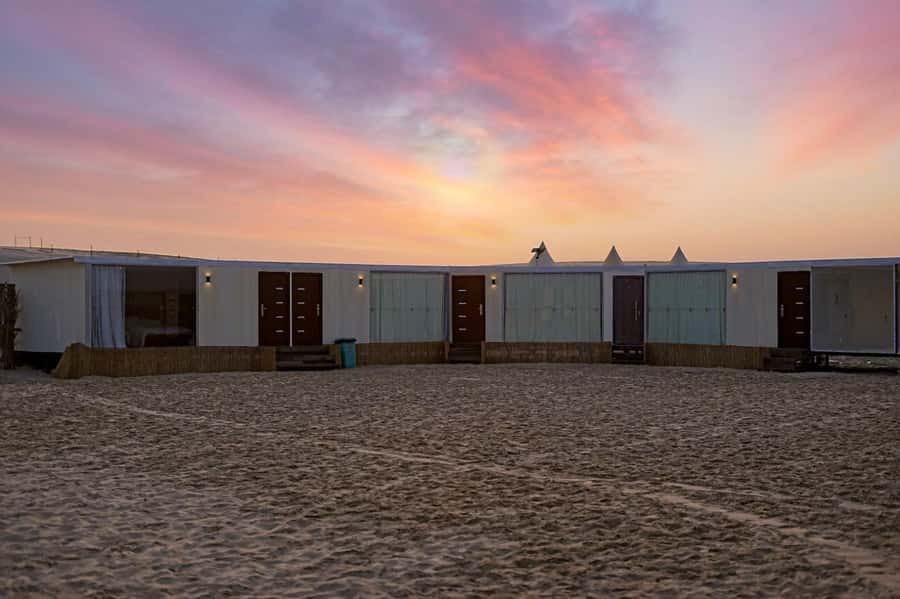 Doha: Private NIGHT desert safari with free camel ride - Key points to know before booking