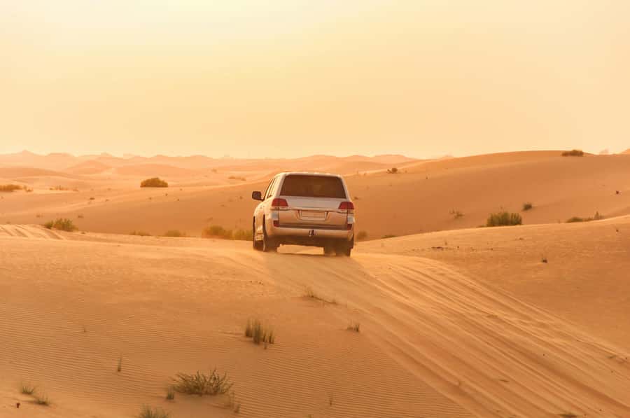Doha: Private NIGHT desert safari with free camel ride - Which guide might you meet?