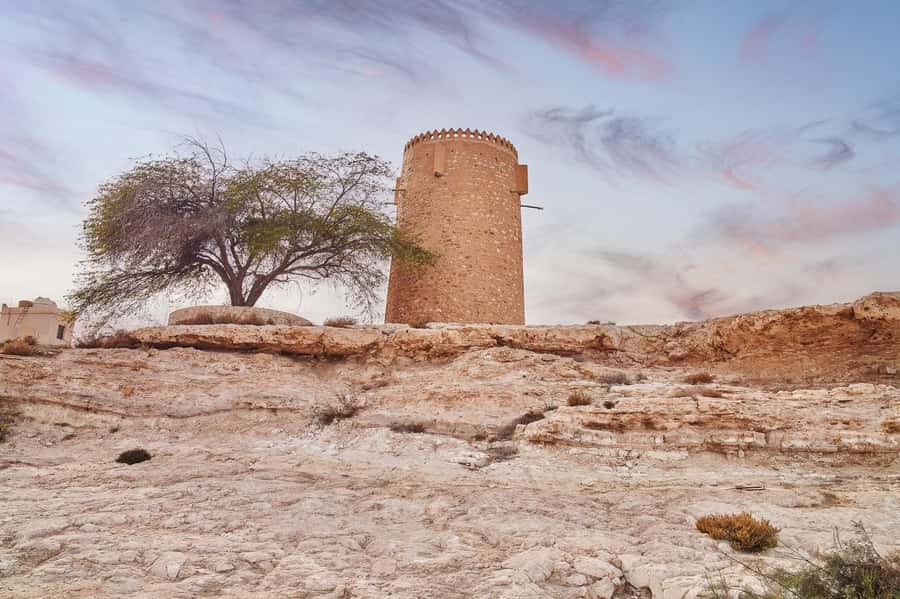 Doha : Private North of Qatar Tour, Zubara Fort & Mangroves - Al Thakira mangroves and Purple Island