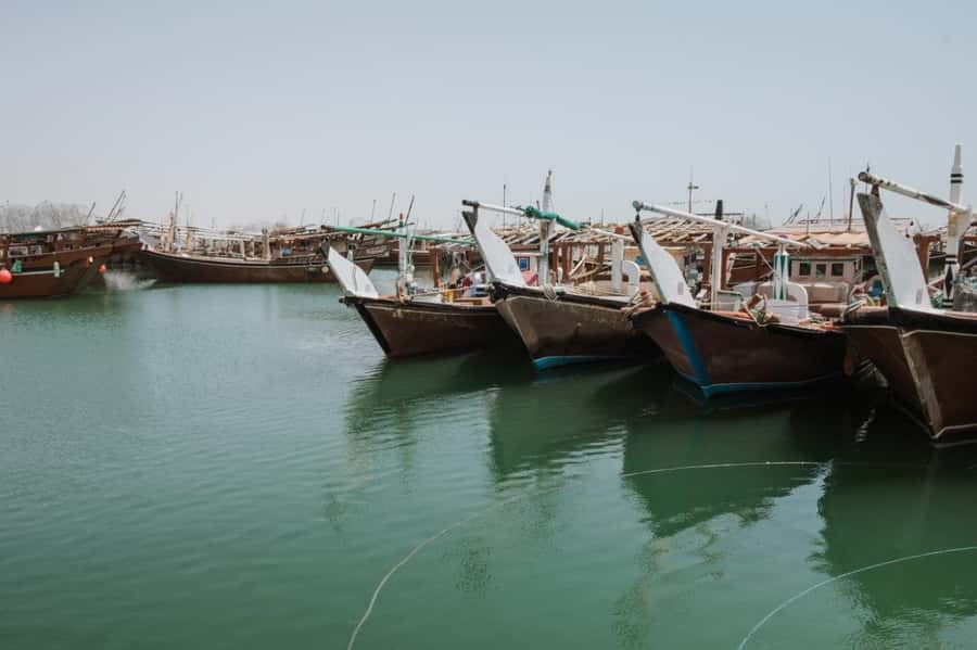 Doha : Private North of Qatar Tour, Zubara Fort & Mangroves - The road trip is part of the experience