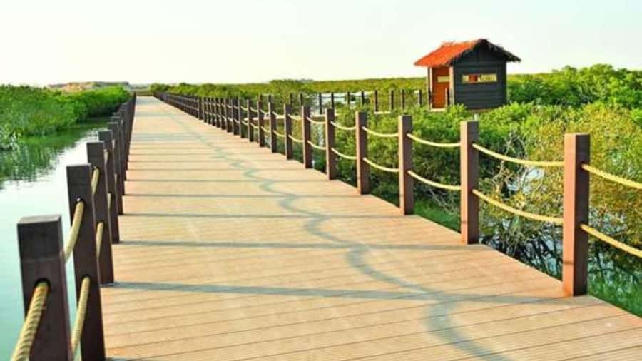 Doha : Private North of Qatar Tour, Zubara Fort & Mangroves - What $64 includes, and what it does not