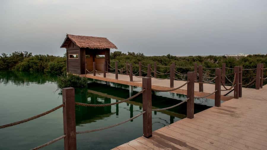 Doha : Private North of Qatar Tour, Zubara Fort & Mangroves - Guides, language, and the private format
