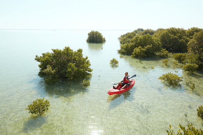 Doha Private North Qatar Tour, Mangroves and Al Zubarah Fort - Practical planning for the four-hour route