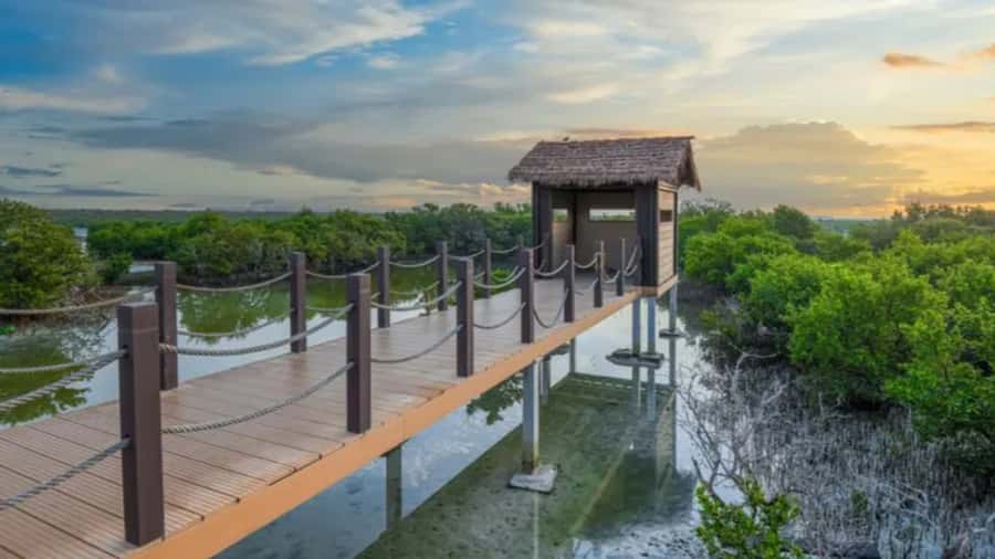 Doha: Private North Qatar Tour, Mangroves, & Zubara Fort - Who will enjoy this North Qatar outing?