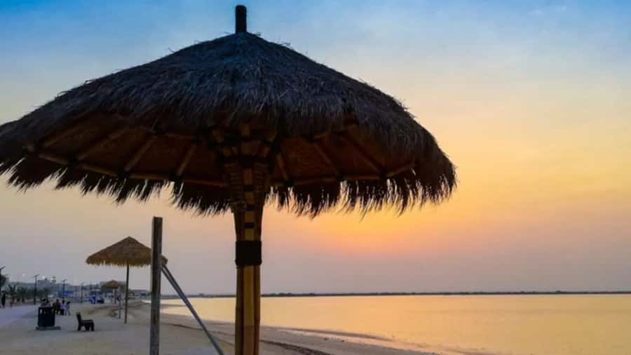 Doha: Private North Qatar Tour, Mangroves, & Zubara Fort - Why North Qatar makes a good half-day escape