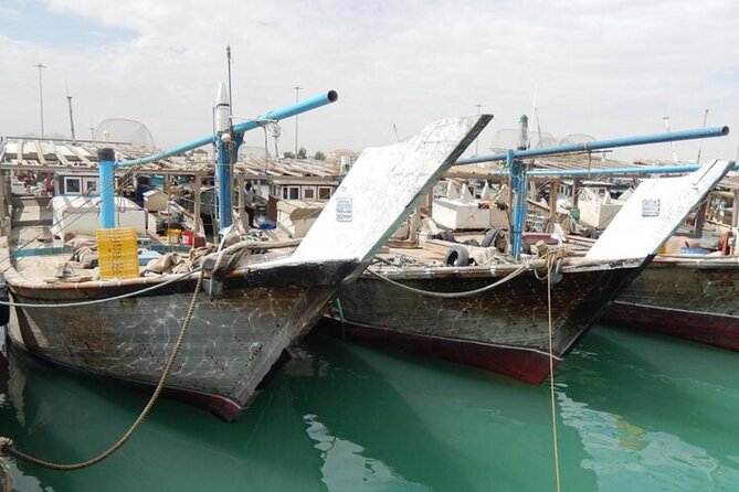 Doha Private North Tour Zubara Fort Purple Island & Mangrove - Who will enjoy this route most