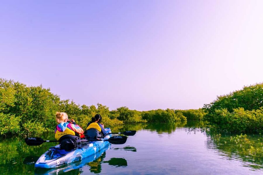 Doha: Private Purple Island Mangroves Kayaking Adventure - Choosing a single or double kayak
