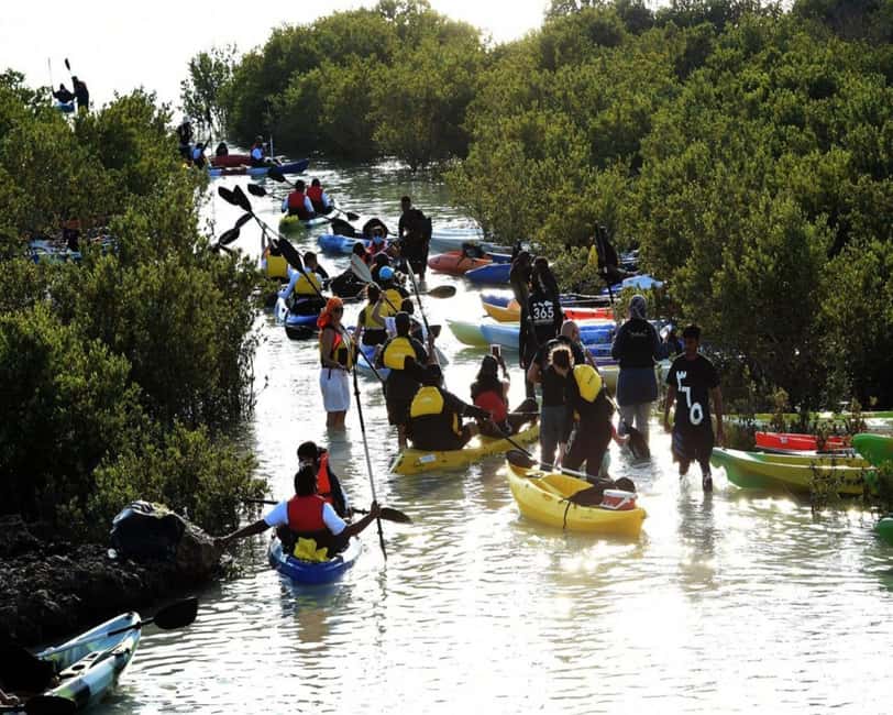 Doha: Private Purple Island Mangroves Kayaking Adventure - Sunset timing and coastal views