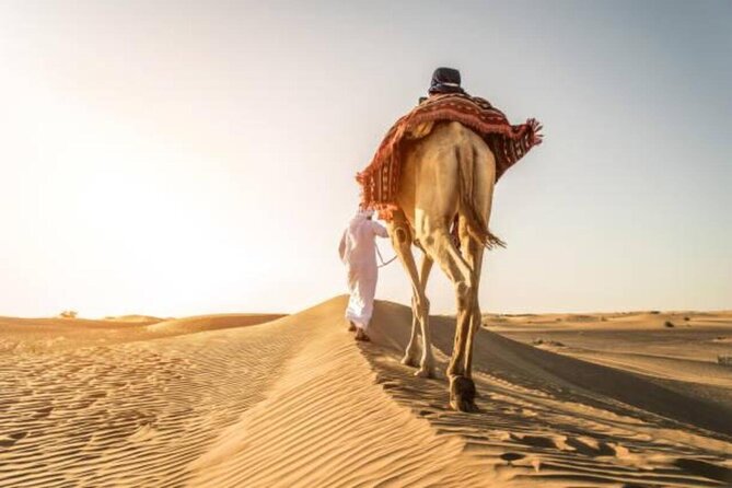 Doha Qatar ATV Quad Bike Buggy Desert Adventure and Camel Ride - Dune bashing near Sealine Beach