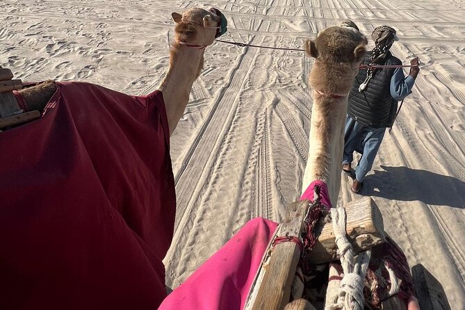Doha Qatar ATV Quad Bike Buggy Dune Bashing and Camel Ride - Dune bashing and sandboarding at Sealine
