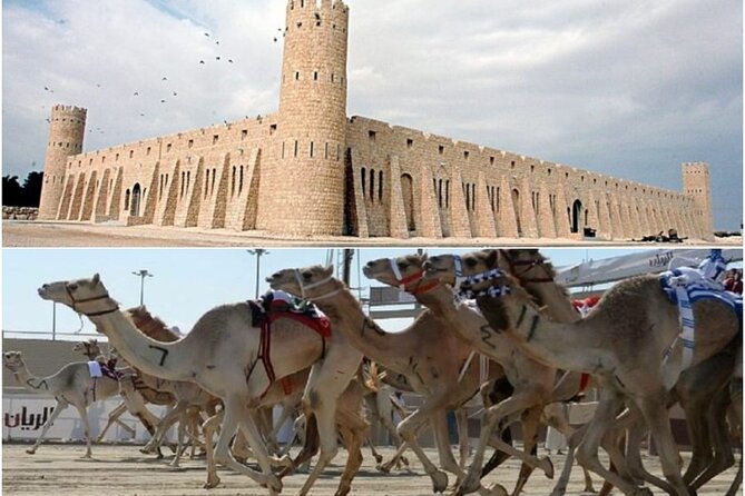 Doha, Qatar: Came Racing Track, Oryx & Sheikh Faisal Museum Tour. - Sheikh Faisal Museum: two hours of collected Qatar