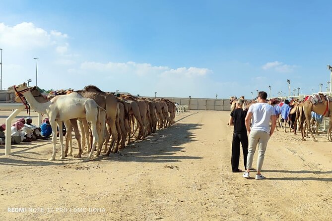 Doha, Qatar: Came Racing Track, Oryx & Sheikh Faisal Museum Tour. - Pickup, communication, and the private format