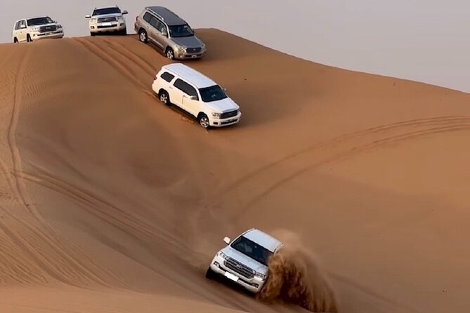 Doha, Qatar: Doha Desert Safari & City - Full Day Private Tour. - One day, from Doha towers to open desert