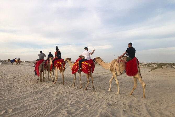 Doha, Qatar: Doha Desert Safari & City - Full Day Private Tour. - The Corniche gives you Doha’s clearest first view