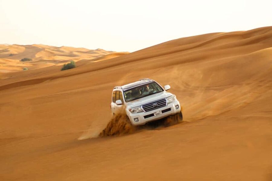 Doha: Quad bike, Camel ride,Sand boarding,Dune bashing - Mesaieed scenery and a possible swimming stop