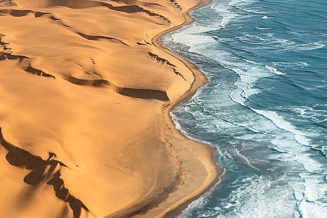 Doha Quad Bike, Dune Bashing, Camel Ride and Inland Sea Tour - Key points at a glance