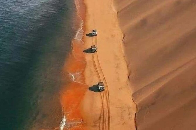 Doha Quad Bike, Dune Bashing, Camel Ride and Inland Sea Tour - Guide quality can shape the whole ride
