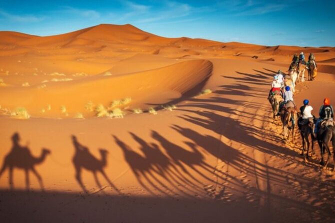 Doha Quad Bike, Dune Bashing, Camel Ride and Island Sea Tour - The Inland Sea and the Saudi border view