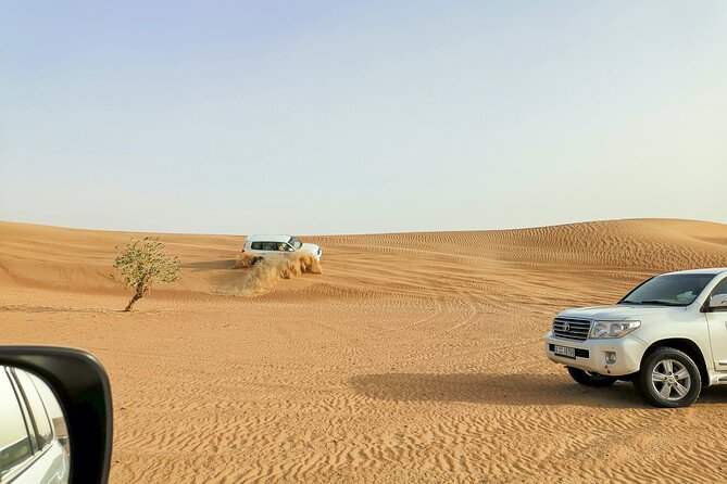 Doha Quad Bike, Dune Bashing, Camel Ride and Island Sea Tour - Camel rides, falcons, and the slower side of Qatar