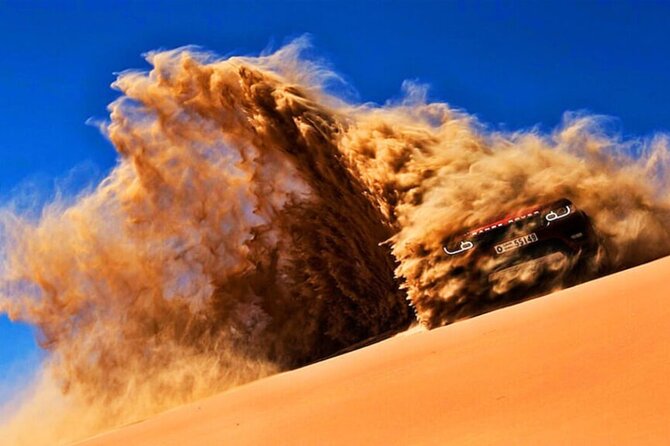 Doha Quad Bike, Dune Bashing, Camel Ride and Island Sea Tour - What the guides add to the day