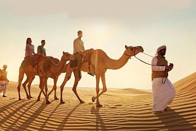 Doha Quad Bike, Dune Bashing, Camel Ride and Island Sea Tour - Sealine Beach sets the desert scene
