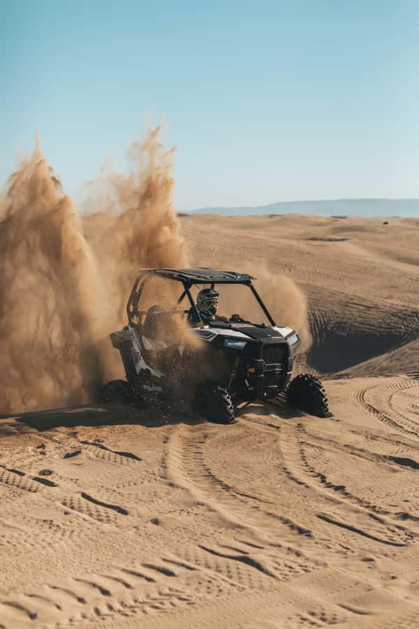 Doha: Quad Bike, Dune Bashing, Camel Ride & Inland Sea Tour - What the Four to Five Hours Really Include