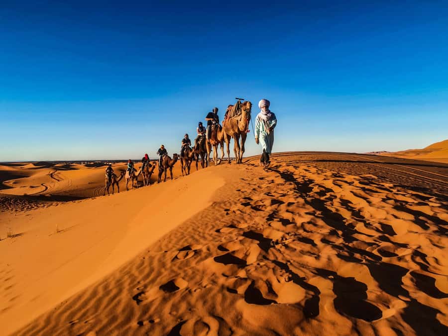 Doha: Quad Bike, Dune Bashing, Camel Ride & Inland Sea Tour - The Guides Are a Major Part of the Experience