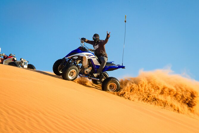 Doha: Quadbike, Dune Bashing, Camel Ride, Inland Sea Visit - Camel riding and a closer look at desert life