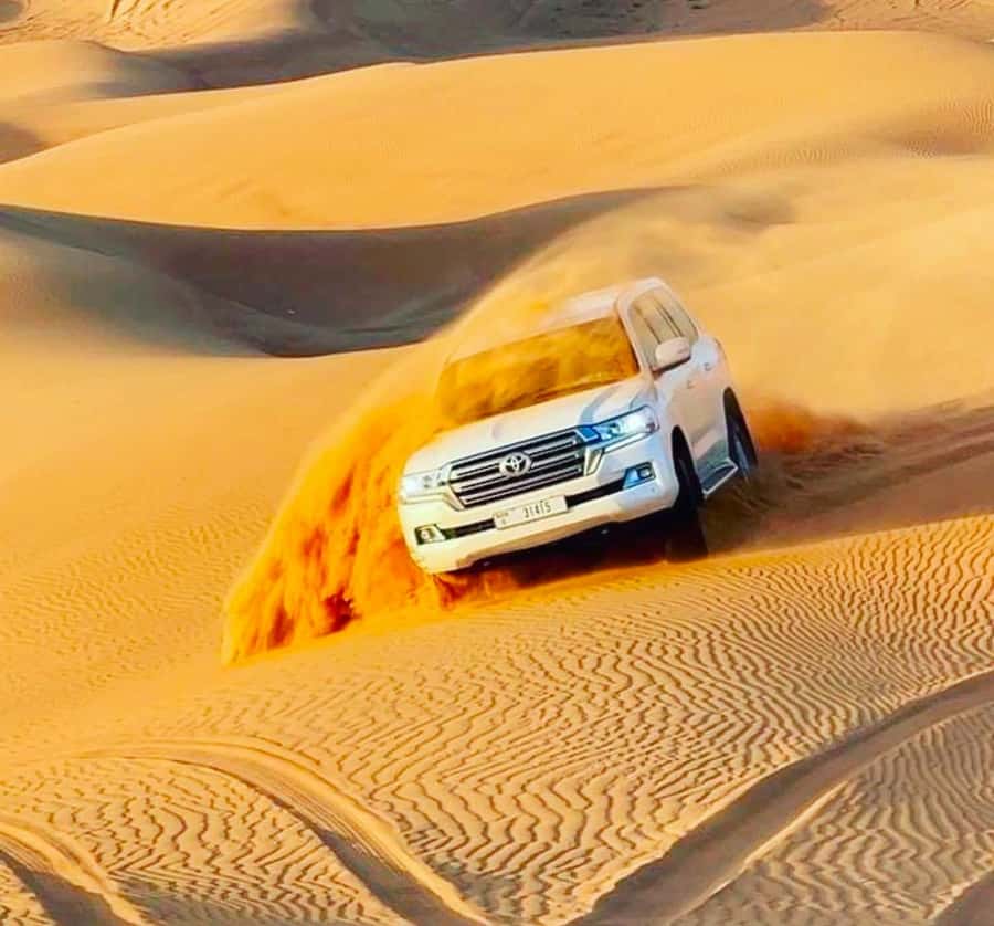 Doha: Relax Desert Safari, Camel Ride, Inland Sea, Swimming - How the guides shape the experience