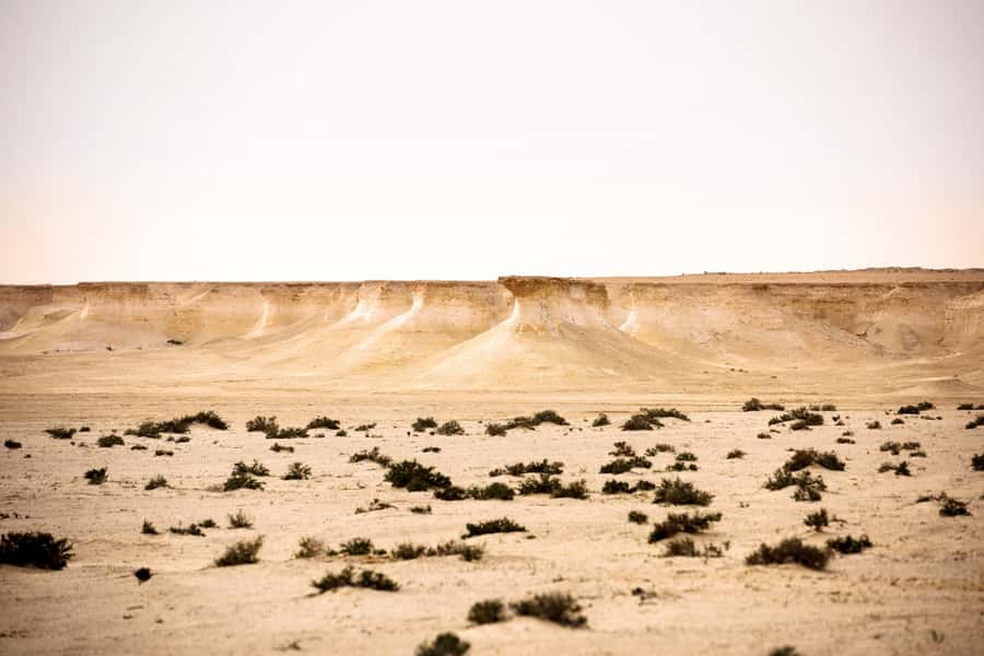 Doha: Richard Serra Sculpture,Mushroom Hill,Camel Race Track - Zekreet Fort ruins and the older Qatar