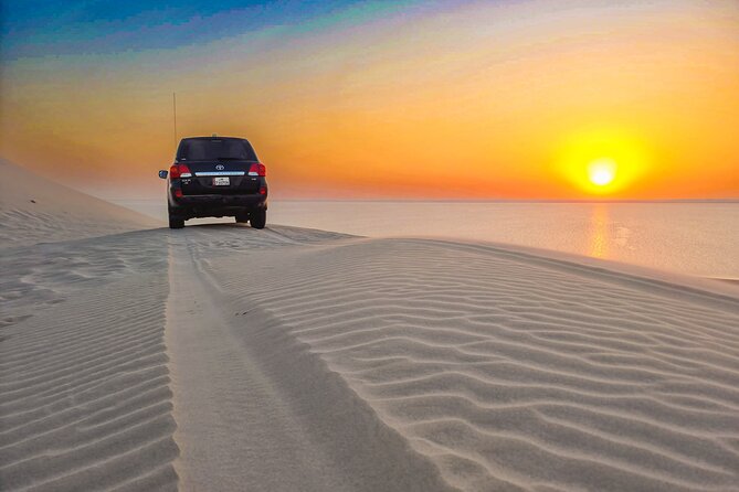 Doha Safari Adventures, Dune Bashing, Sand Buggy, Camel Ride Tour - Camel riding adds a traditional touch