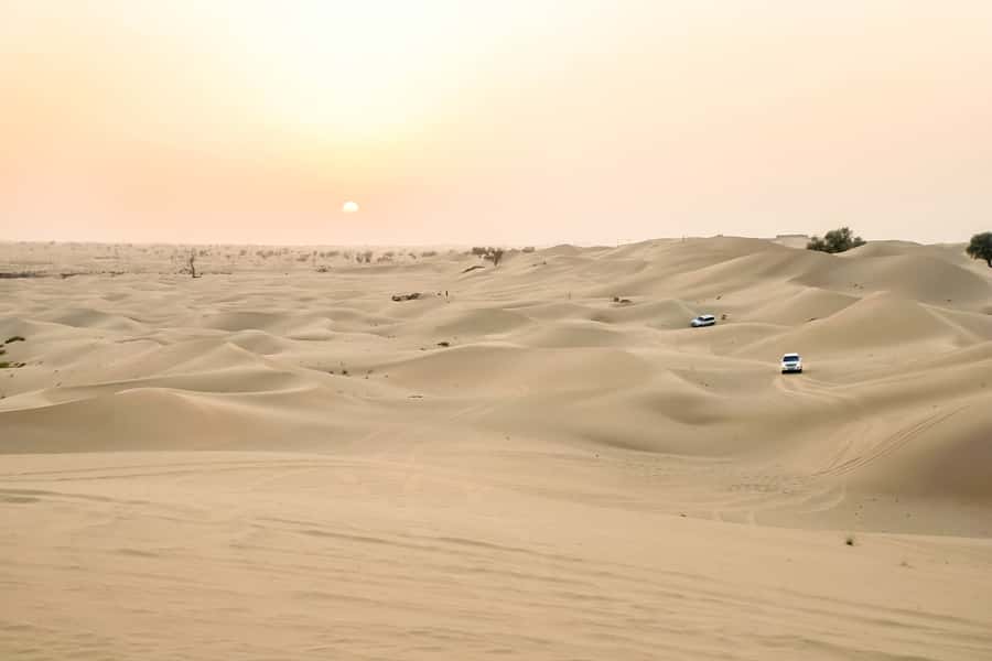 Doha: Safari, ATV, Camels, Sandboarding and Inland Sea Tour - Optional quad bikes and other extras